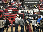 Ed Hall and the Three Affliated Tribes Gabe the saddle bronc Champion